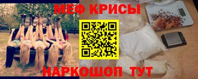 гашик Кингисепп