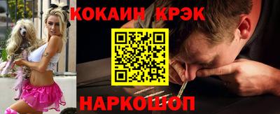 гашик Кингисепп