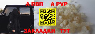 гашик Кингисепп