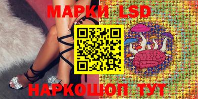 бошки Кимры