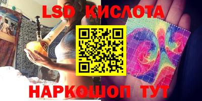 гашик Кингисепп
