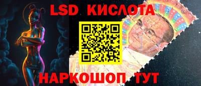 гашик Кингисепп