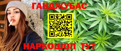 гашик Кингисепп