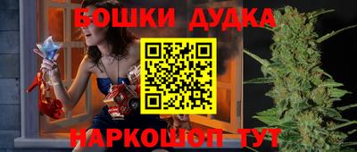 гашик Кингисепп