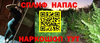 бошки Кимры