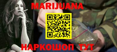 гашик Кингисепп