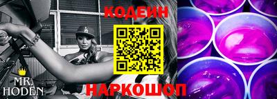 гашик Кингисепп