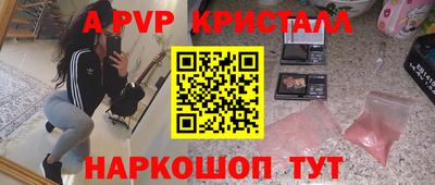 гашик Кингисепп