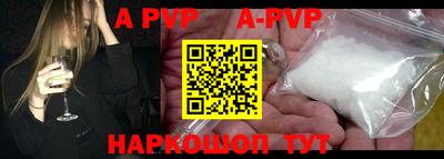 гашик Кингисепп