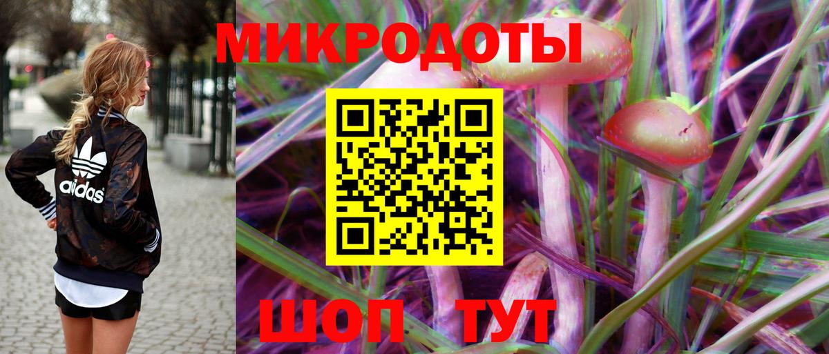 Галлюциногенные грибы Psilocybine cubensis Кропоткин