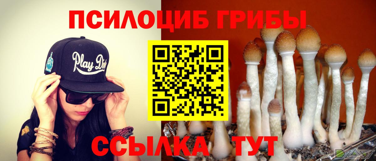 Галлюциногенные грибы ЛСД  Галлюциногенные грибы Psilocybe  Вход с VPN  Кропоткин 